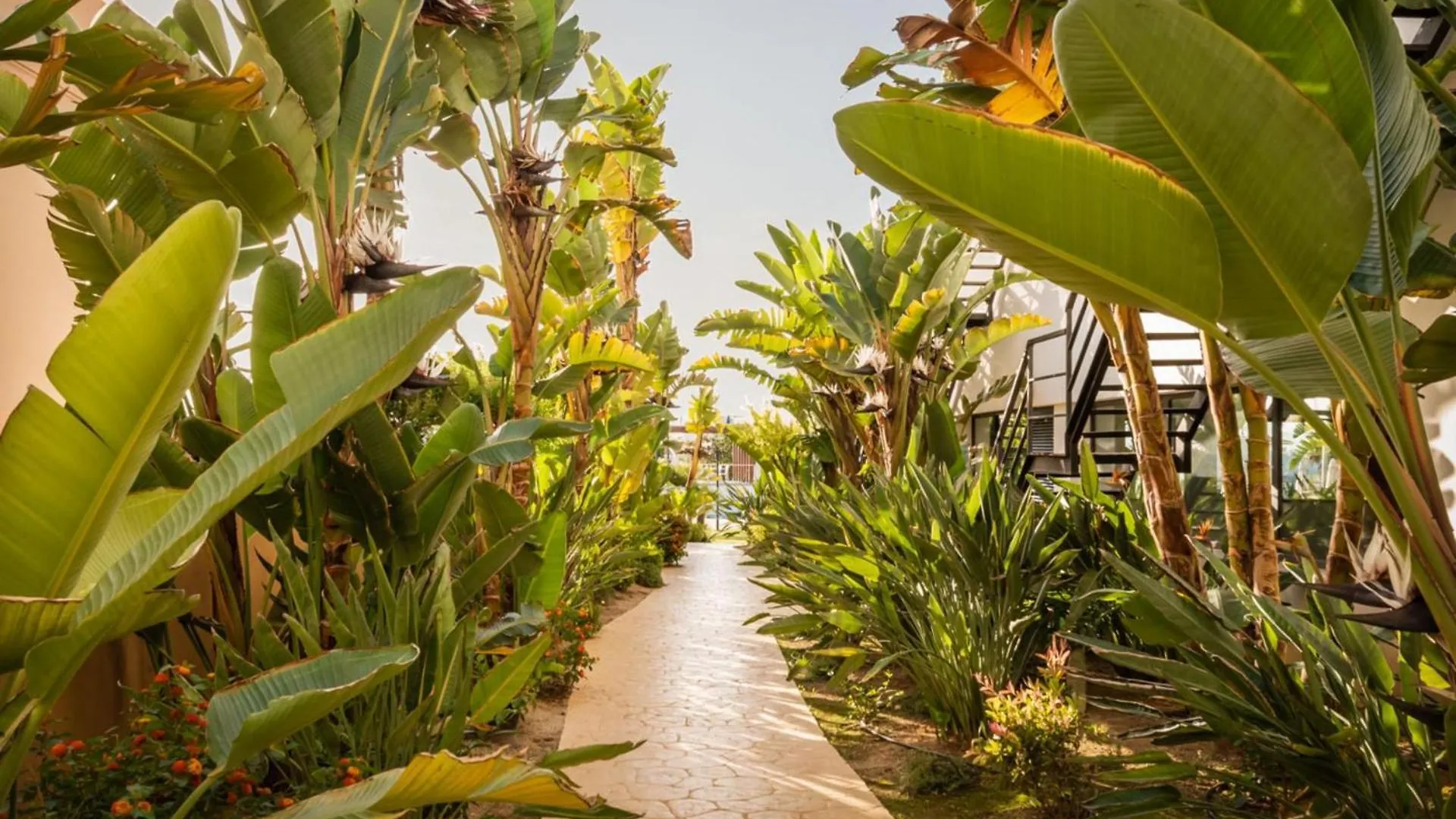 Hotel Alegria Palacio Mojacar - Adults Only